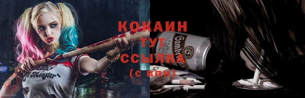 гашик Аркадак
