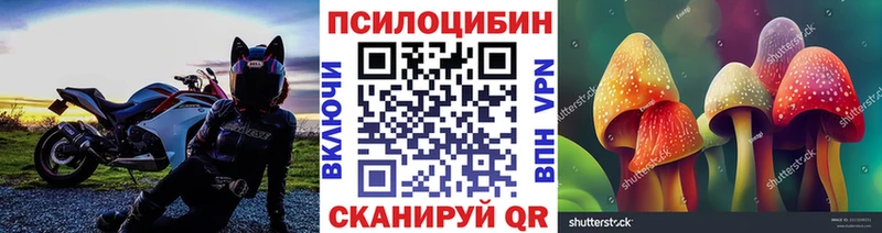 Псилоцибиновые грибы MAGIC MUSHROOMS  цена наркотик  Теберда 